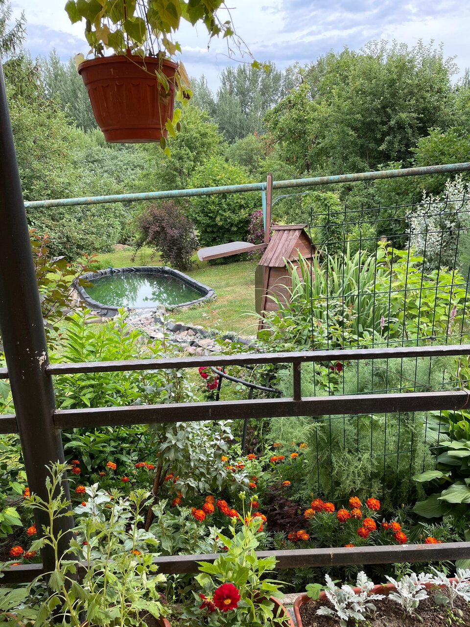 Гостевой дом Маришкин дом Суздаль-59