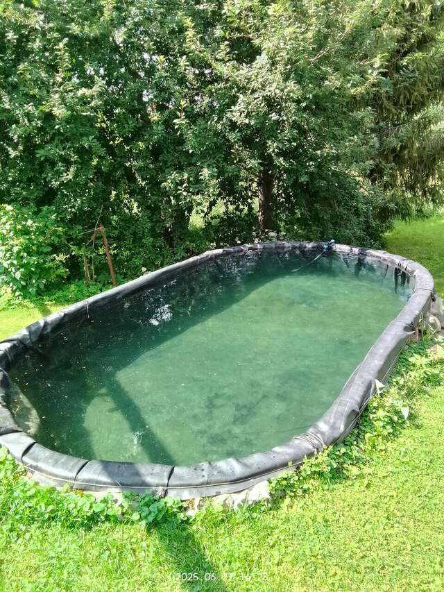 Гостевой дом Маришкин дом Суздаль-54