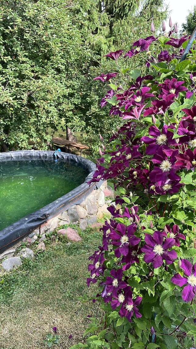 Гостевой дом Маришкин дом Суздаль-55